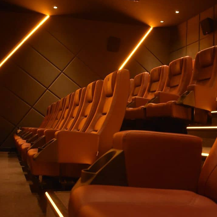 Auditorium Seats